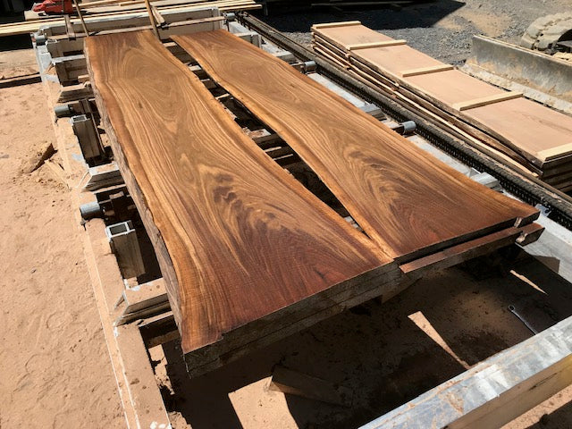 Black Walnut (2.0)