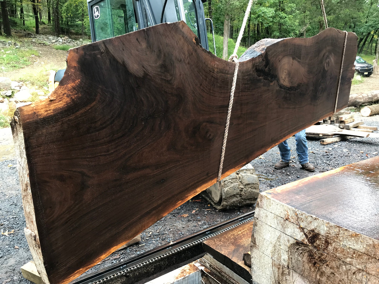 Black Walnut