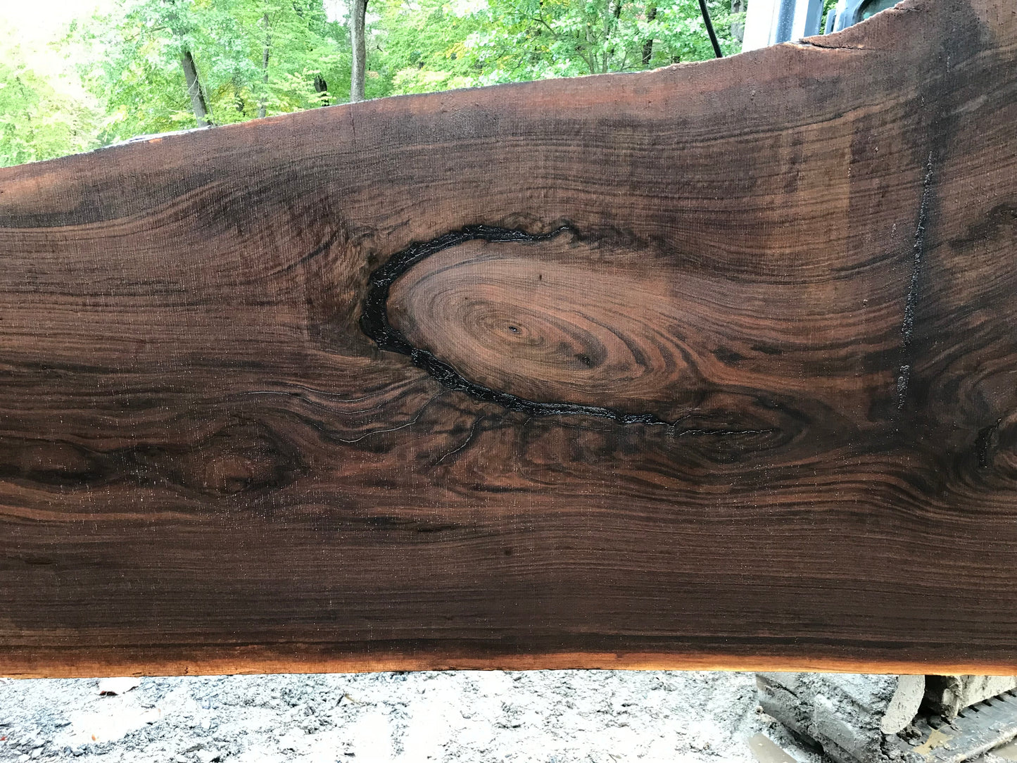 Black Walnut