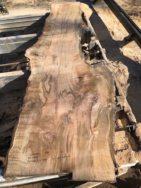 Spalted Red Maple