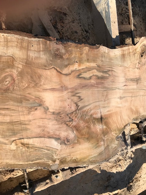 Spalted Red Maple