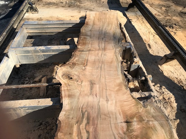 Spalted Red Maple