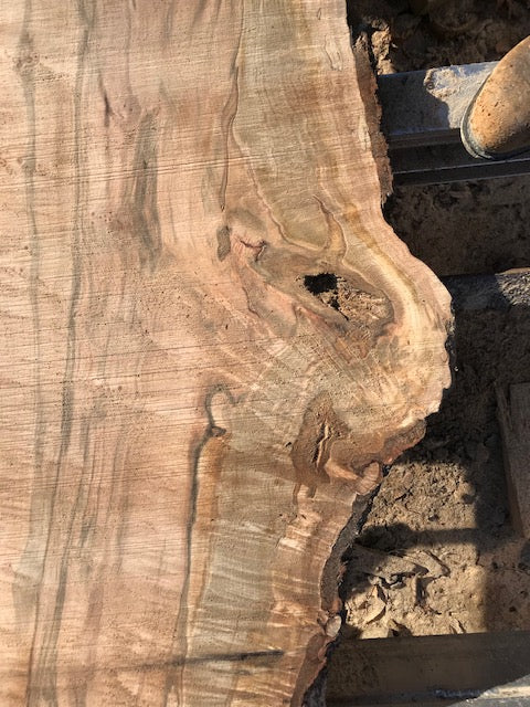 Spalted Red Maple