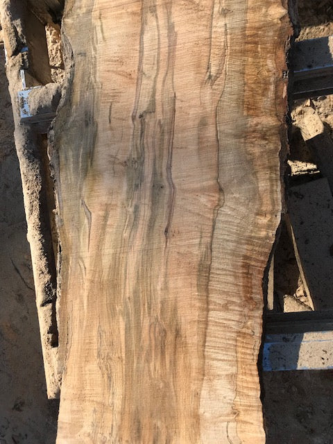 Spalted Red Maple